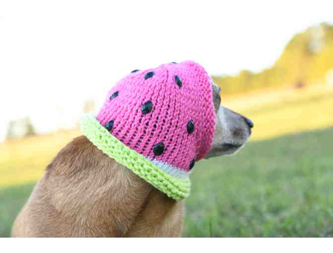 Adorable Hand Knitted 11' Watermelon Dog Hat/Snood with 'Watermelon Seeds'!