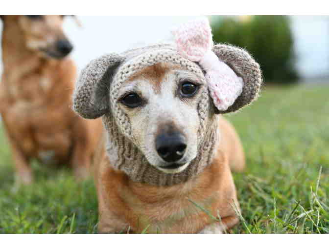 Adorable Hand Knitted 12' Monkey Dog Hat/Snood with Ribbed Neck and Monkey Ears!