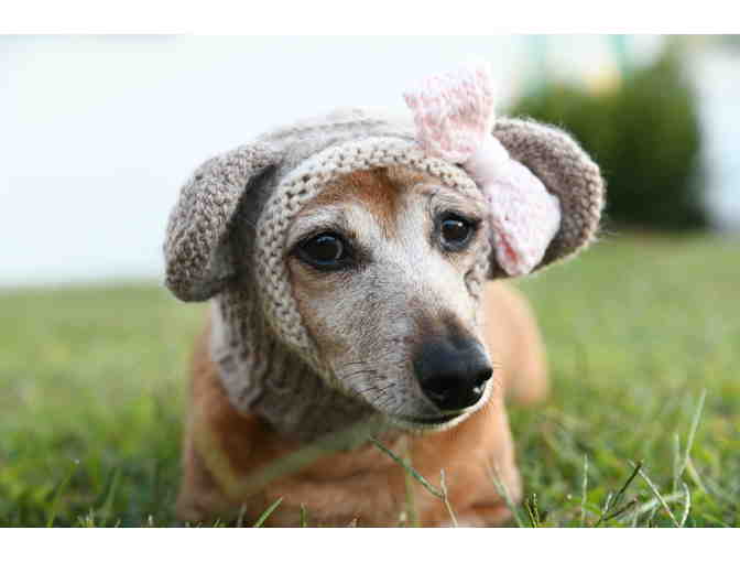 Adorable Hand Knitted 12' Monkey Dog Hat/Snood with Ribbed Neck and Monkey Ears!