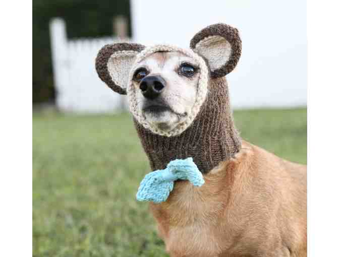 Adorable Hand Knitted 12' Dog Hat/Snood with Ribbed Neck and Teddy Bear Ears!