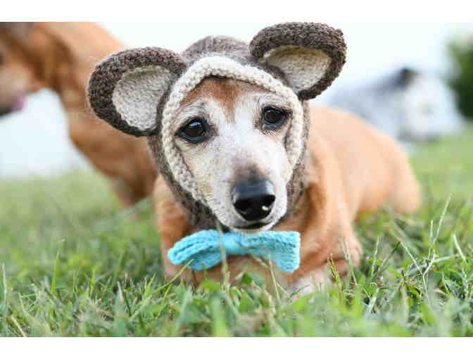 Adorable Hand Knitted 12' Dog Hat/Snood with Ribbed Neck and Teddy Bear Ears!