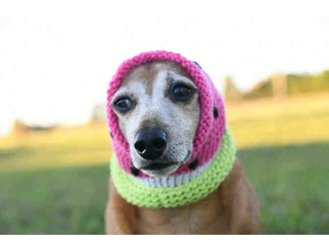 Adorable Hand Knitted 12' Watermelon Dog Hat/Snood with 'Watermelon Seeds'!
