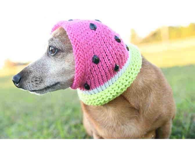 Adorable Hand Knitted 12' Watermelon Dog Hat/Snood with 'Watermelon Seeds'!