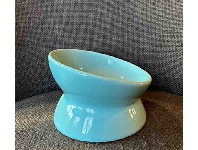 Raised and Tilted Pet Bowls (Set of 2)