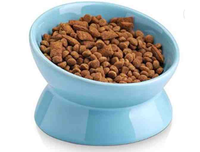 Raised and Tilted Pet Bowls (Set of 2)
