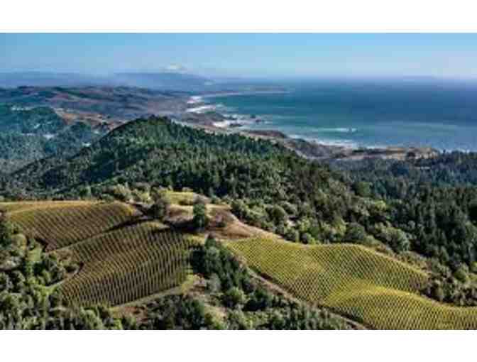 California Duet and Wine Tour in San Francisco & Sonoma, CA