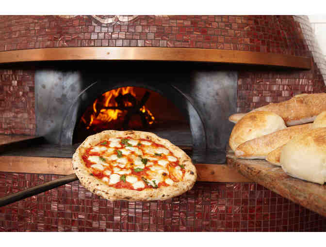 Fabulous Chicago Shopping Trip!