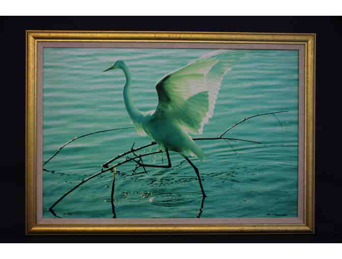 'Great Egret in Everglades' Framed Print by Mary Louise O'Sullivan