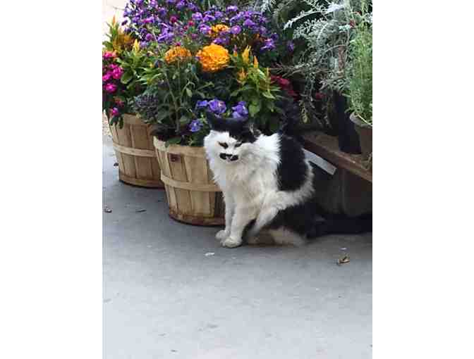 Big Tool Box & Highlands Garden Center $25