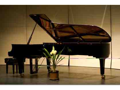 Two hours on the magnificent Yamaha CFX Concert Grand