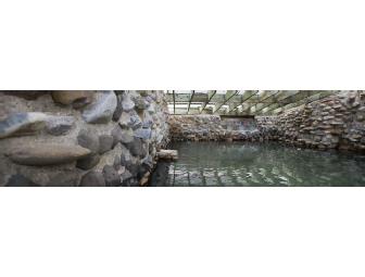 Luxurious Northern New Mexico