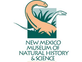 Huge Family Fun and Learning Package