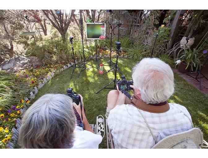 Hummingbird Photo Shoot