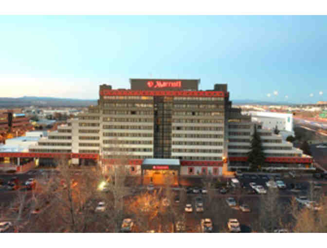 Be a VIP at Balloon Fiesta