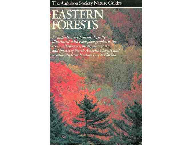 A Collection of Books