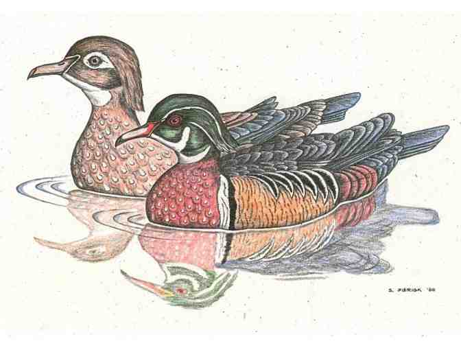 Notecards by Acorn Designs