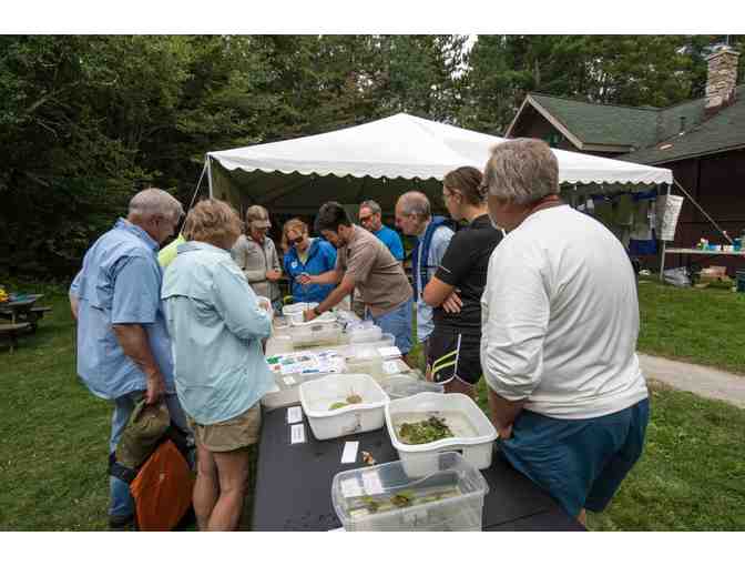 Sponsor a Volunteer Citizen Scientist