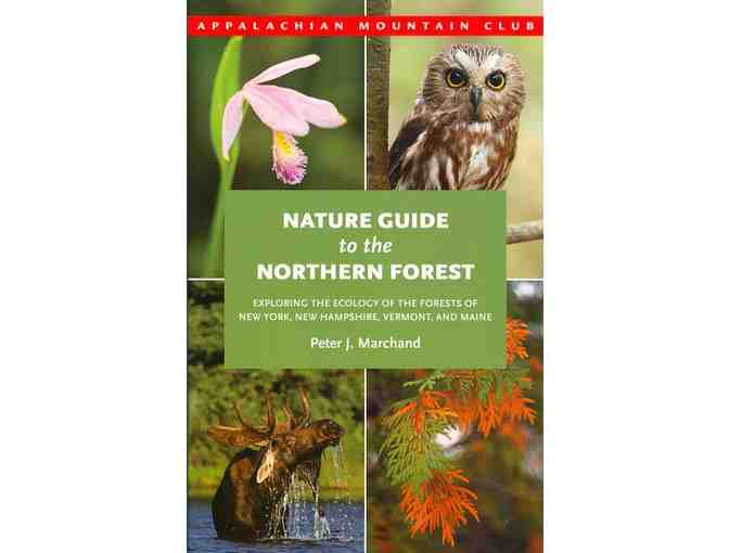 Collection of Three Guide Books