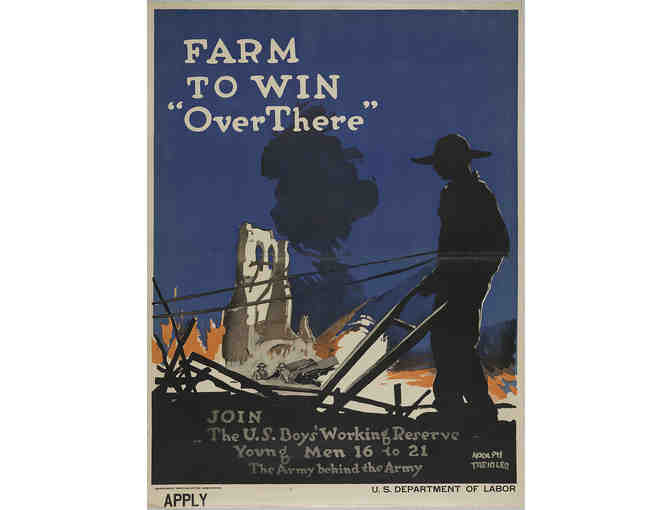 WWI Original Poster 'Farm to Win'