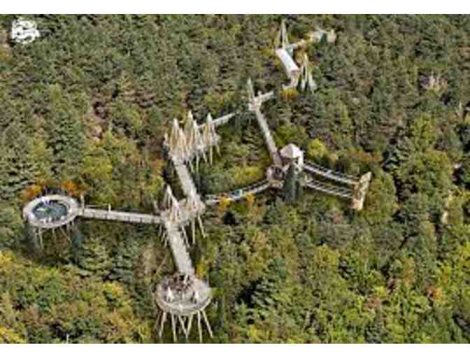 The Wild Center Passes for 4