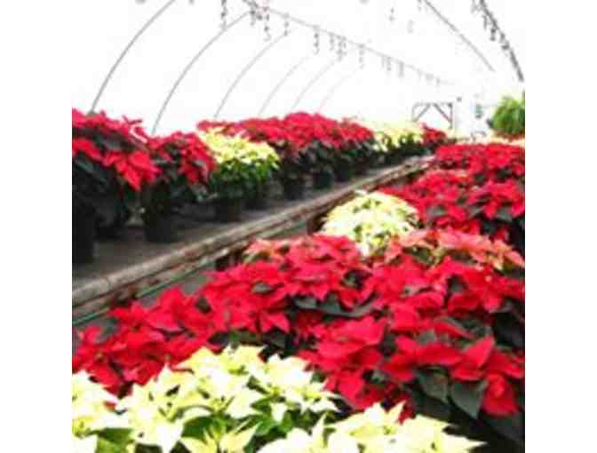 Decker's Flats Greenhouse $50 Gift Certificate