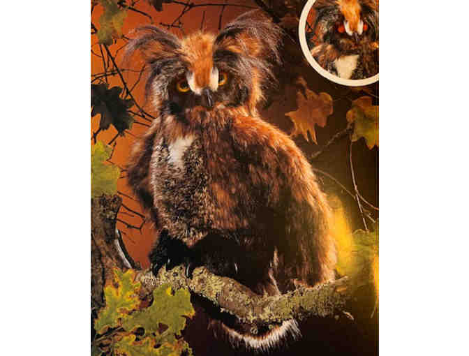 Great Horned Owl Puppet