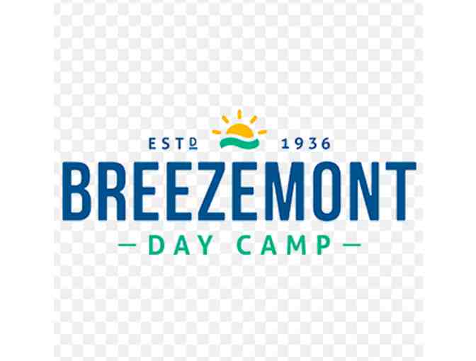 Breezemont Day Camp - Photo 1