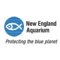 New England Aquarium