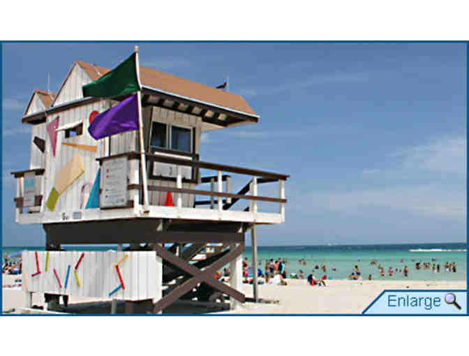 South Beach is the Place to See and Be Seen