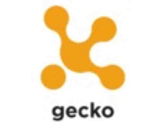 Gecko Bluetooth tags (2)