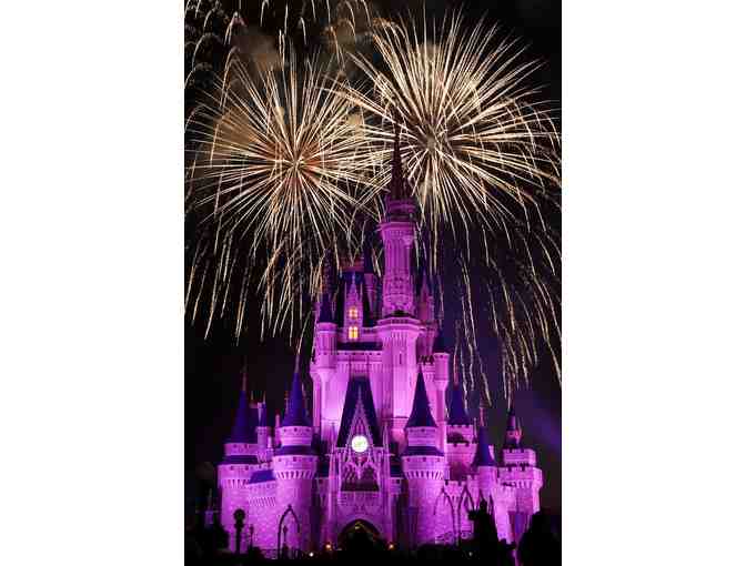 Enchanting Disney World Family Vacation (DS9217-42) Orlando, Florida
