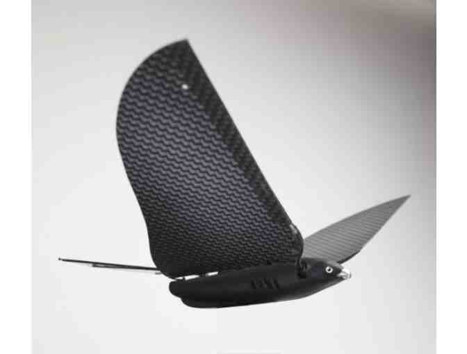 Bionic Bird: the Flying App.