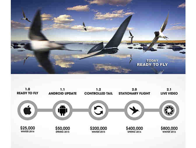 Bionic Bird: the Flying App.