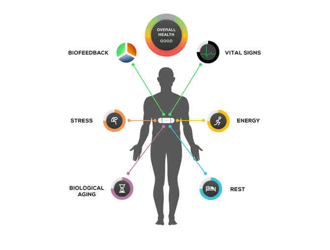 Rejiva monitors your total health