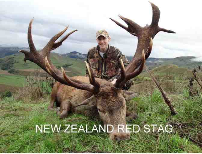 New Zealand Hunting Safari for Two Hunters