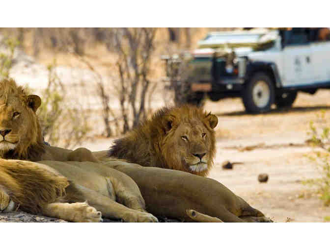 Game Drives, 7-Night Adventure in Cape Town & Private Game Reserve for 2 - Photo 1