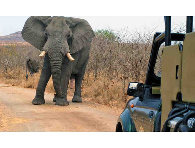 Game Drives, 7-Night Adventure in Cape Town & Private Game Reserve for 2 - Photo 5