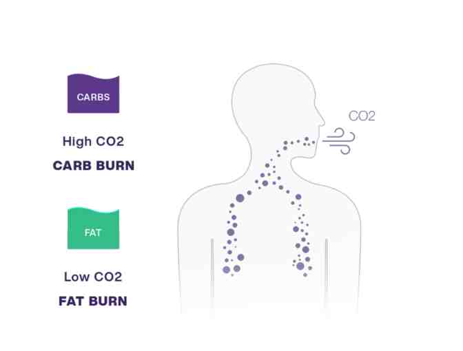LUMEN - The first device to hack your metabolism