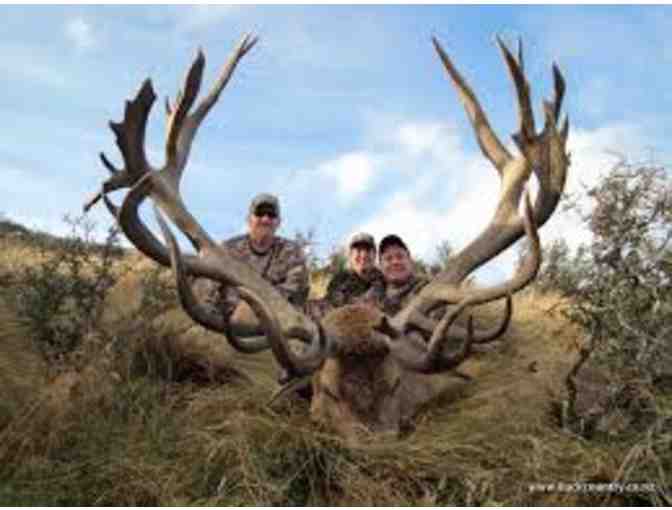 New Zealand Hunting Safari for Two Hunters