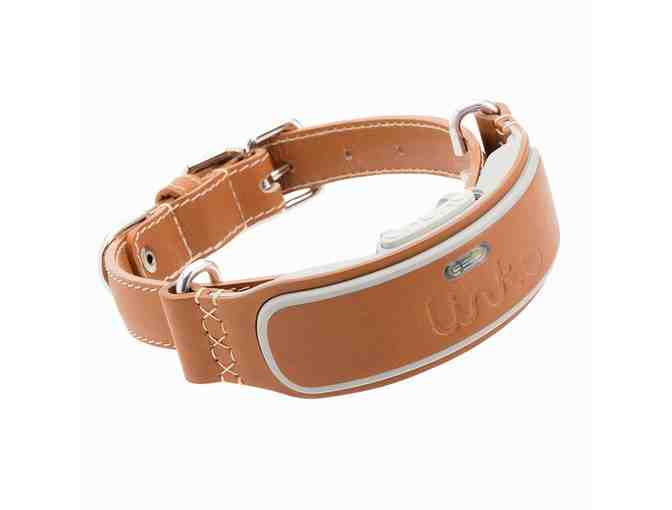 Link AKC Smart Dog Collar with GPS Tracker & Activity Monitor (Leather or Sport) - Photo 2