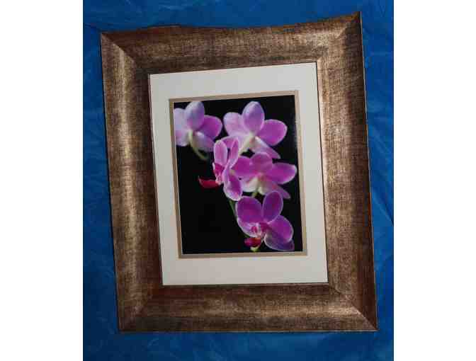 Orchidaceae Art - Photo 1