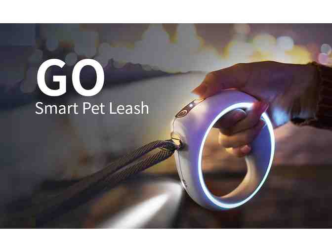 PETKIT Dog Leash with Handle --Walking Route Record Phone Calling Reminder LED Night Light - Photo 1