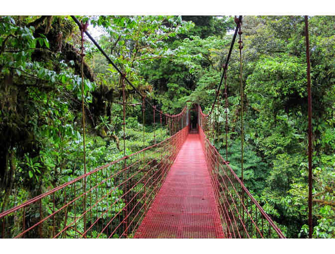 An Ecological Sanctuary for Nature Lovers San Jose, Arenal and Manuel Antoni
