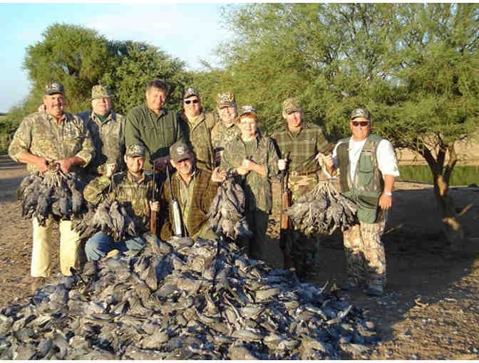 Dove Hunting, 5-Night All-Inclusive Stay for 6