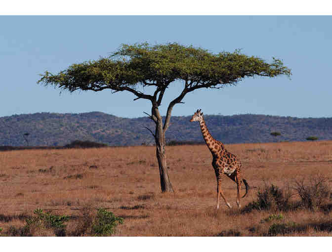 Explore Kenya's Breathtaking Landscape & Wildlife (SF3102-20) Kenya, Africa