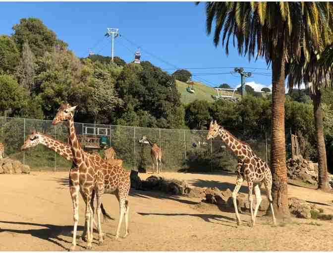 Family Day at the Zoo