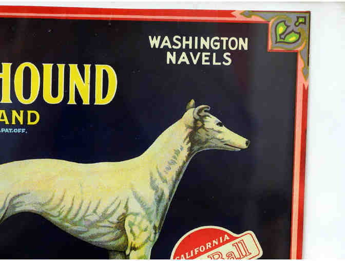 Greyhound Fruit Crate Label - Framed
