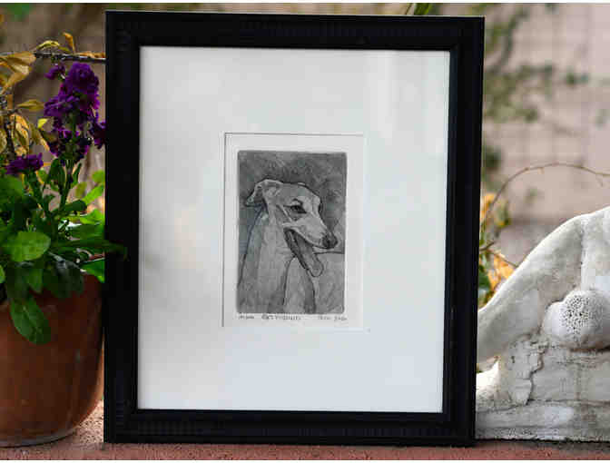 Greyhound Print of a Pen/Brush and Ink Drawing by C. Parke - Framed