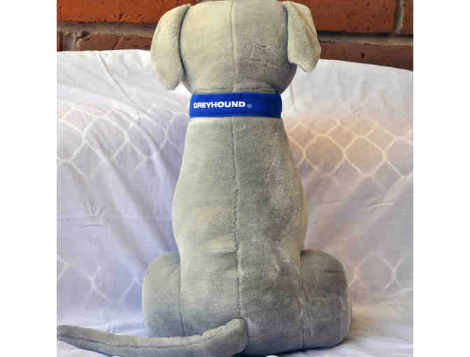 Greyhound Bus Seated Hound, Almost Life-Size