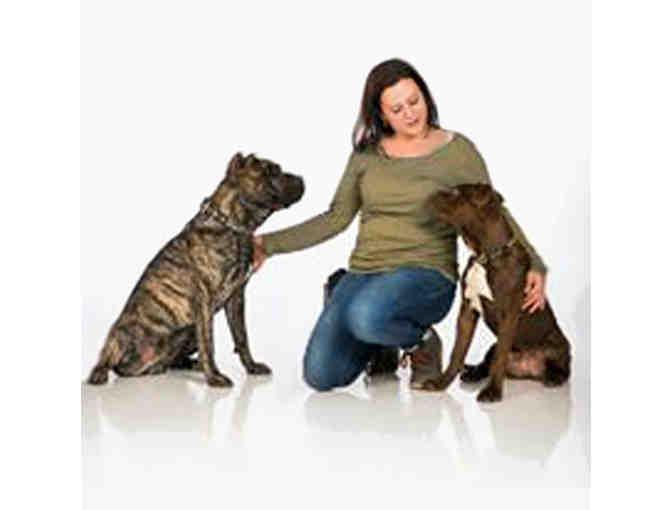 $50 Gift Certificate toward Boarding or Training, Sol Dog Lodge, Tucson AZ